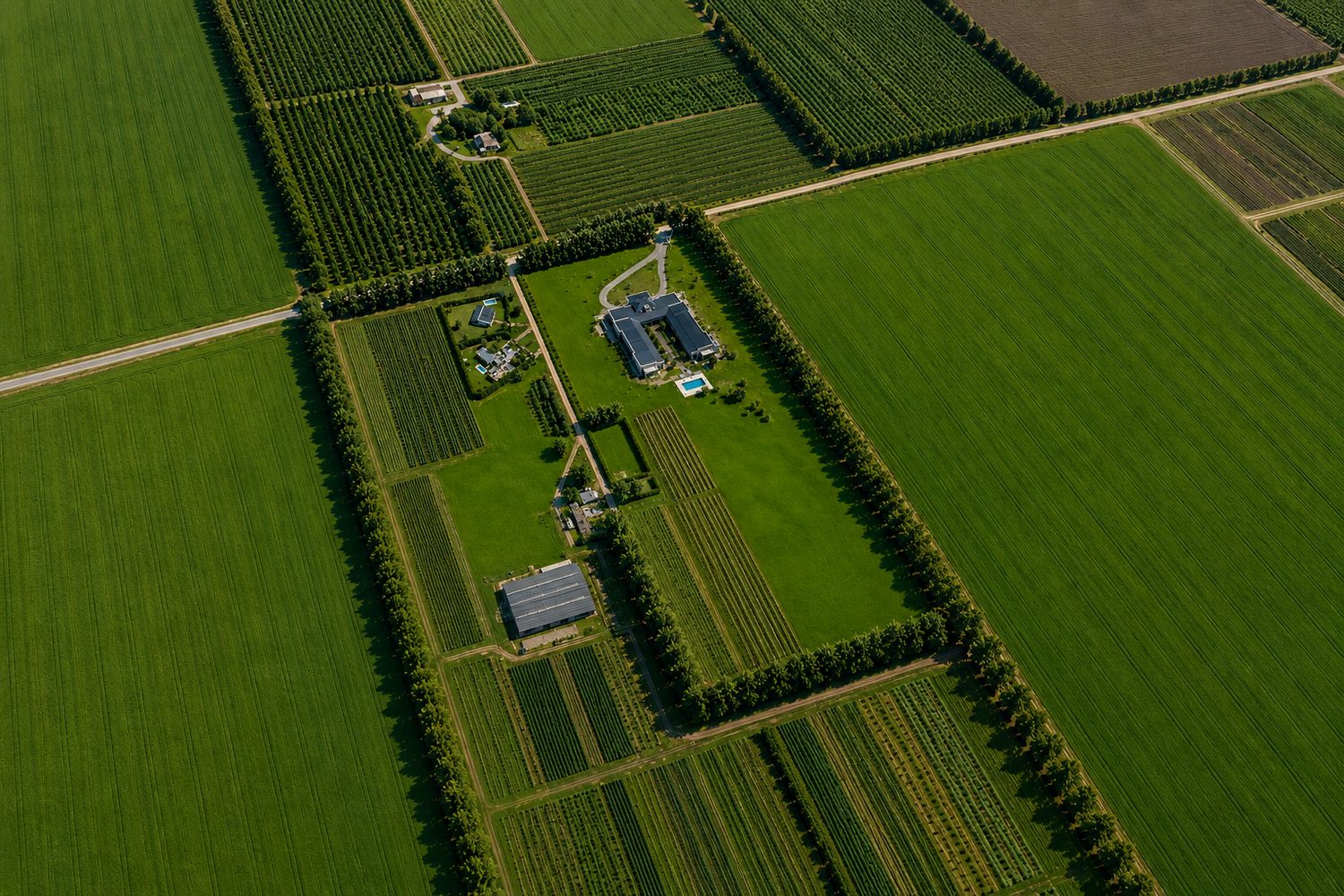 El predio de La Salustiana rodeado de campo productivo